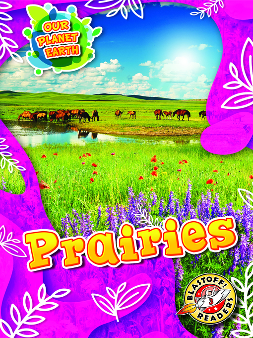Cover image for Prairies